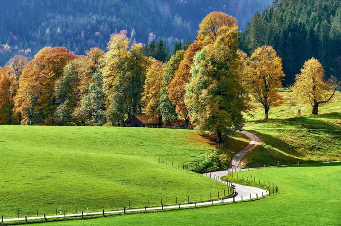 Conjunto 5 Miniaturas e Blocos | Super Mario Bros